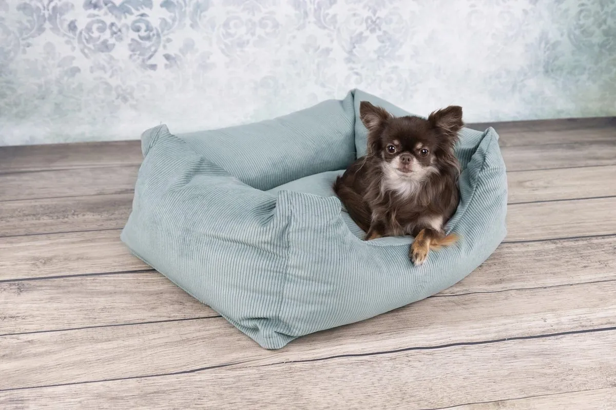 Flamingo Celeste Mand Honden Muntgroen 80x67x28cm