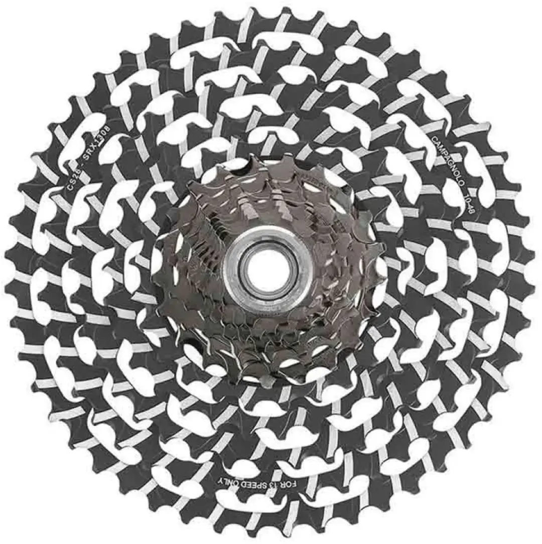Campagnolo Record X Wrl Fietscassette Zilver 13s / 10-48t