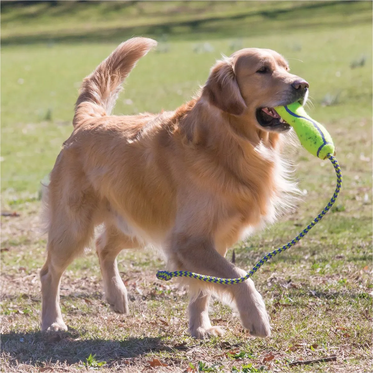 KONG Air Fetch Stick Geel M