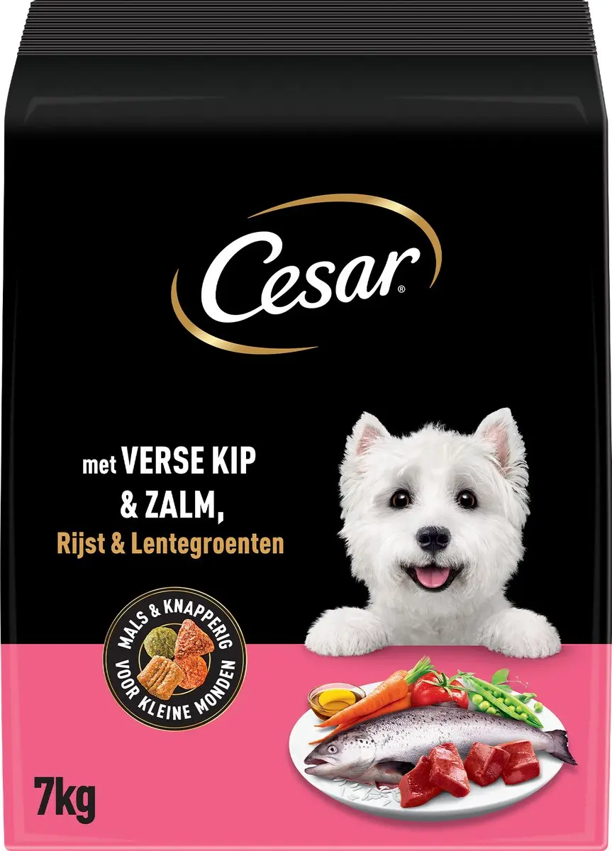 César Adult Hondenbrokken Kip & Zalm