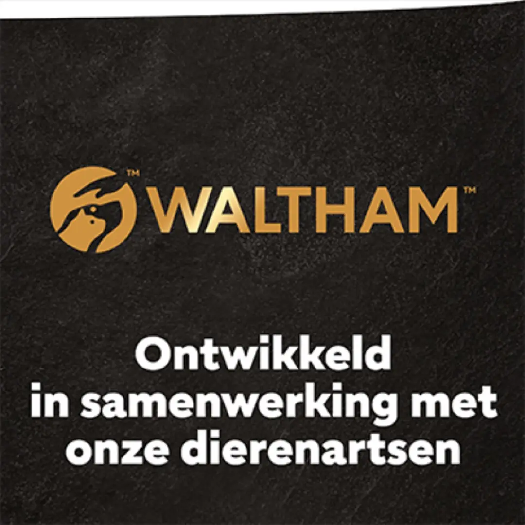 César Adult Hondenbrokken Kip & Zalm - 7kg - afbeelding 5 van 6