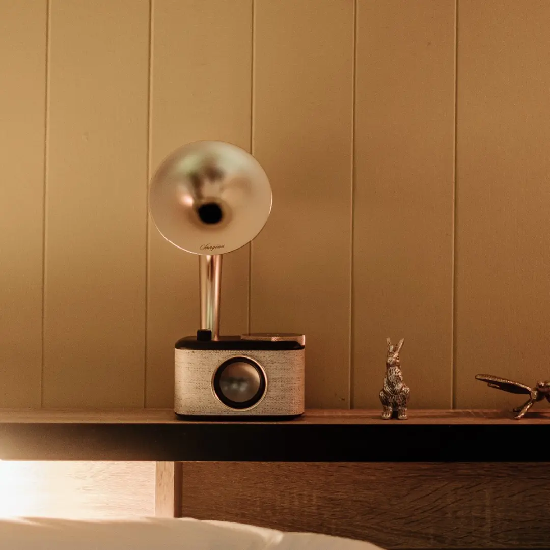 SANGEAN HIFI CP100DBG