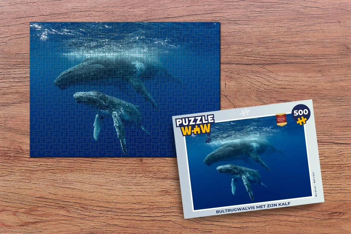 PuzzleWow Bultrugwalvis Legpuzzel 500 Stuks - Multicolor