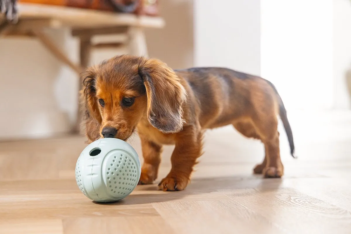 Beeztees Puppy Rubber Snackei - Groen 10 cm