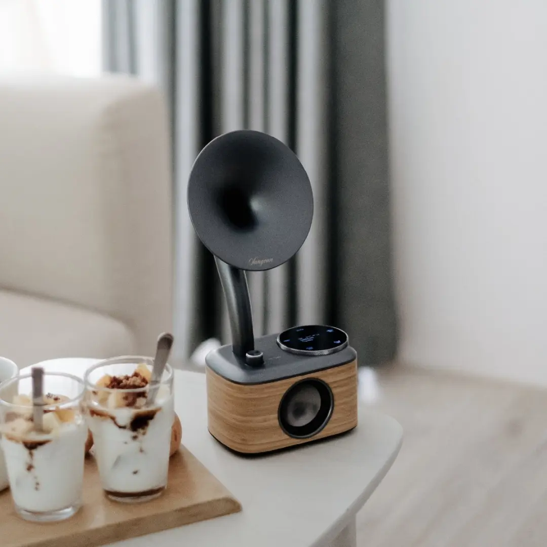 Sangean CP-100D Gramophone Radio - DAB+/FM - Bluetooth - Hout - afbeelding 3 van 6