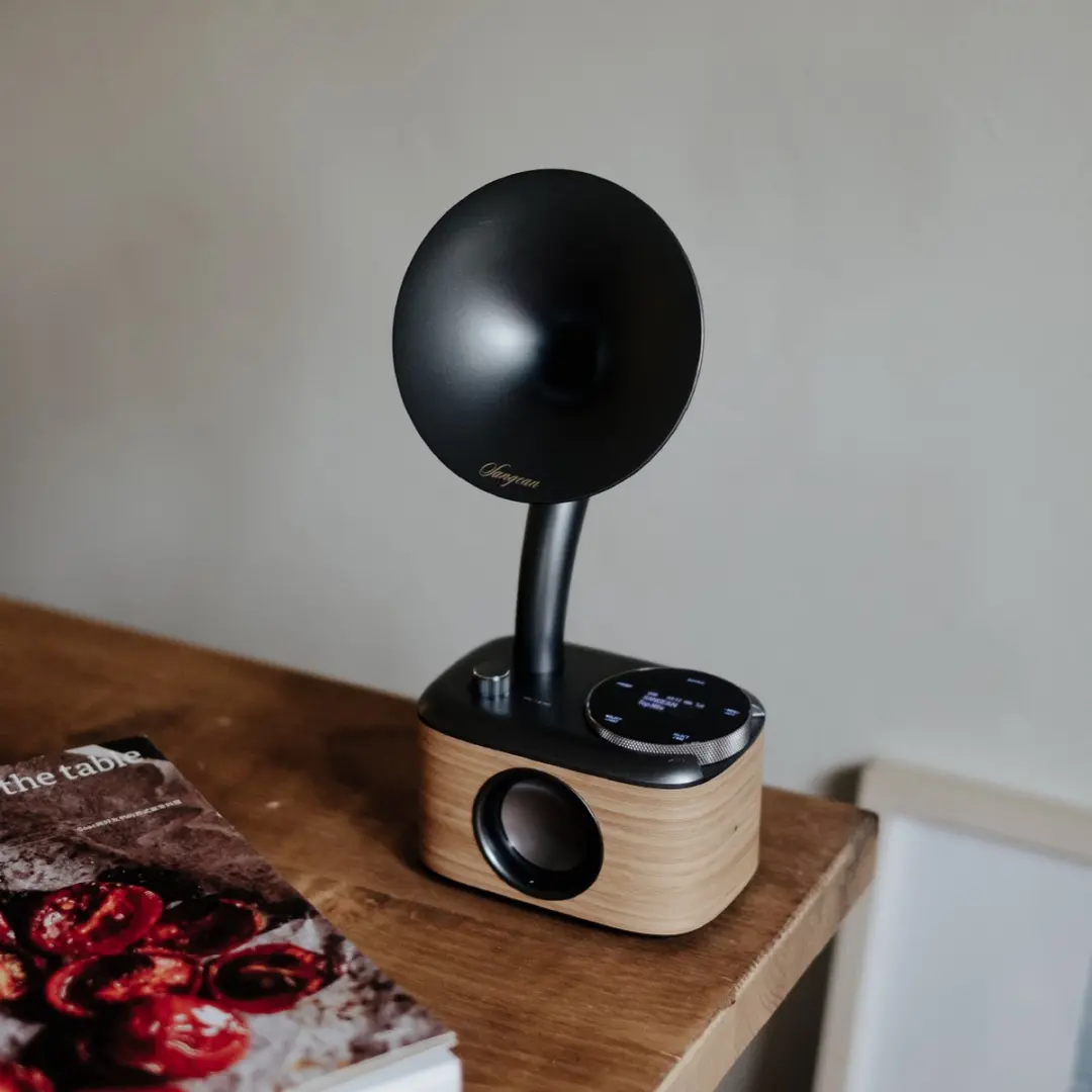 Sangean CP-100D Gramophone Radio - DAB+/FM - Bluetooth - Hout - afbeelding 2 van 6