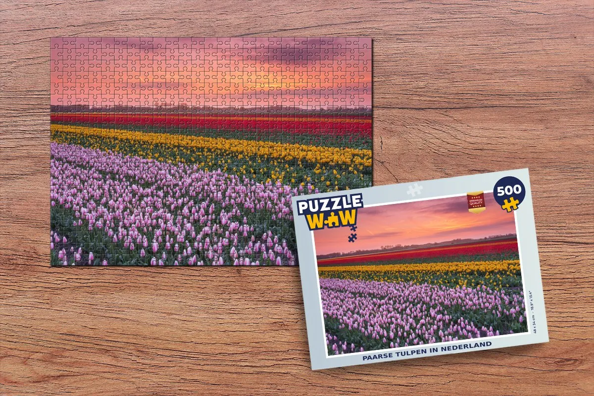 PuzzleWow Legpuzzel Paarse tulpen in Nederland 500 Stuks - Multicolor