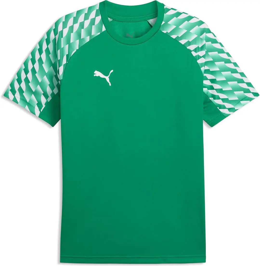 Puma Teamfinal Shirt Korte Mouw Heren