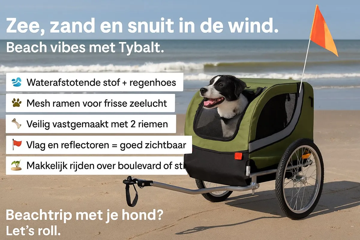 Flamingo Tybalt Fietskar - Zwart