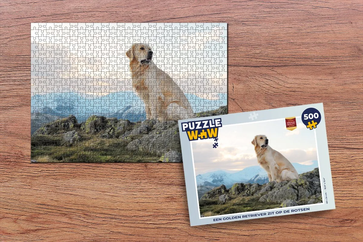 PuzzleWow Legpuzzel Een golden retriever op rotsen 500 Stuks