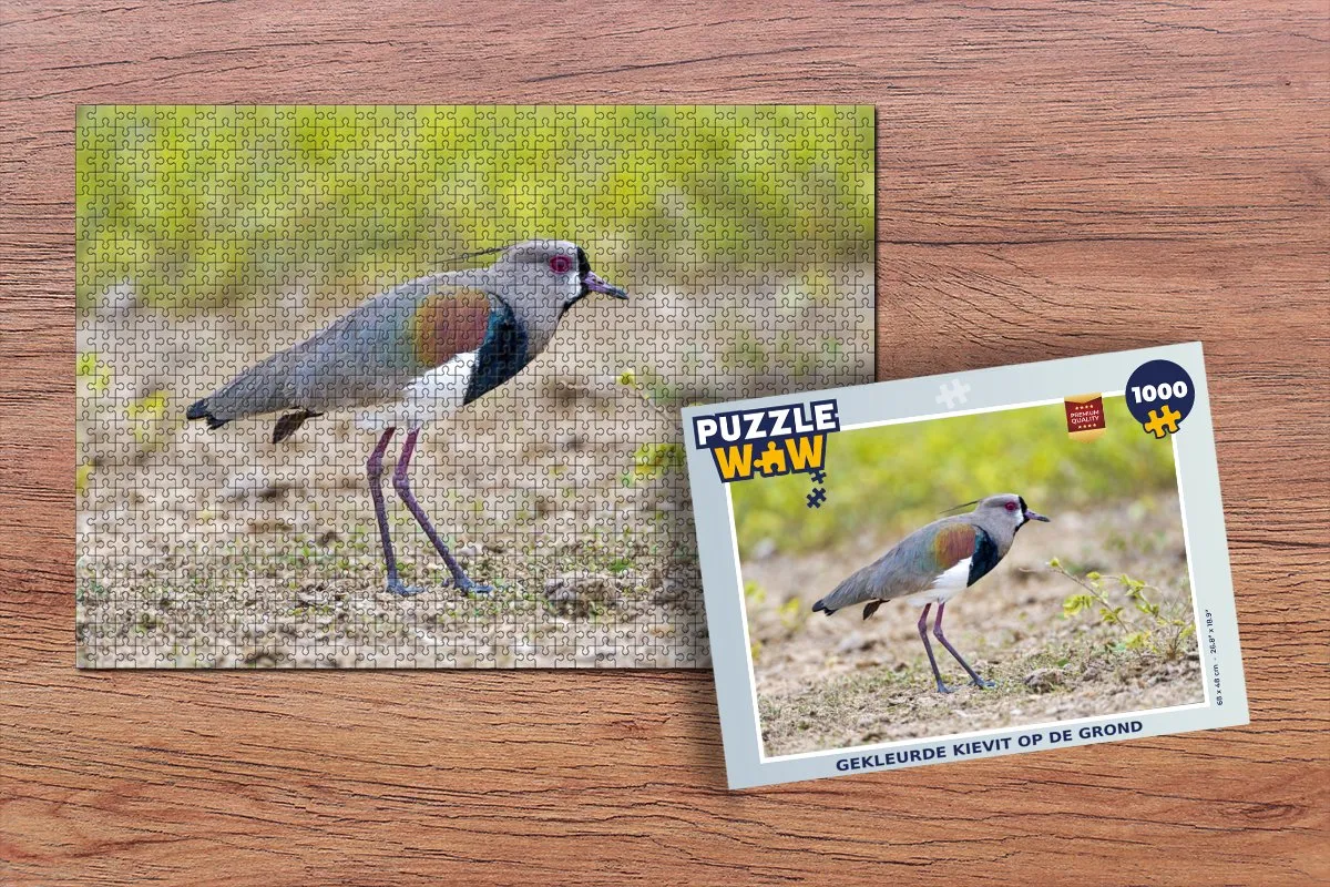 PuzzleWow Legpuzzel 1000 Stuks - Multicolor