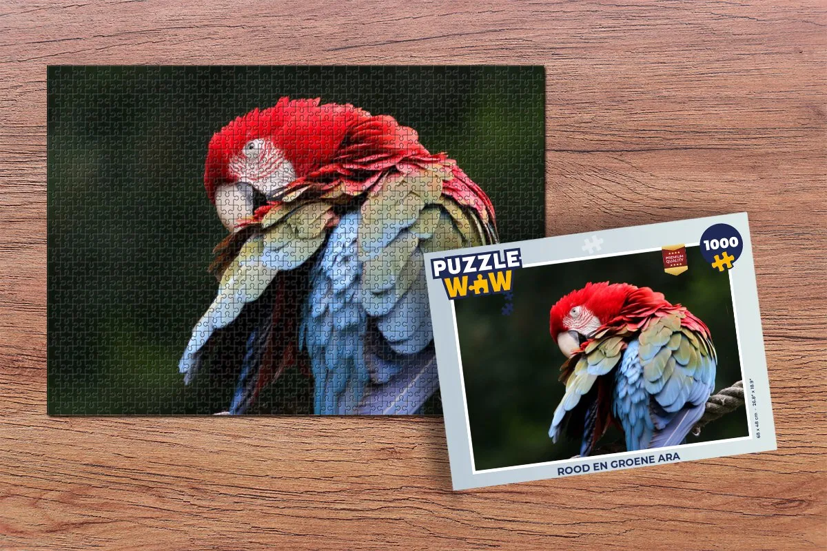 PuzzleWow Ara Legpuzzel 1000 Stuks - Multicolor