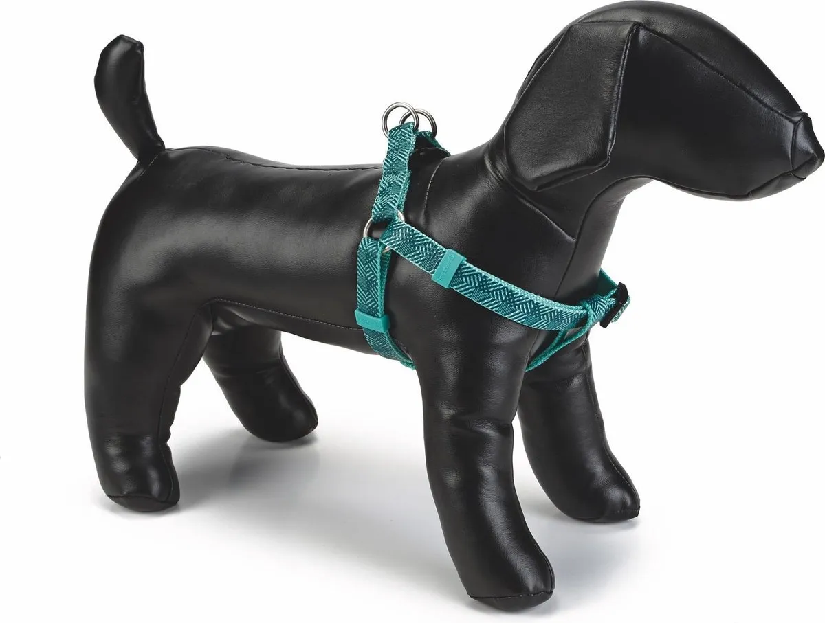 Beeztees Nylon Borsttuig Geo Donkergroen 35-60cm