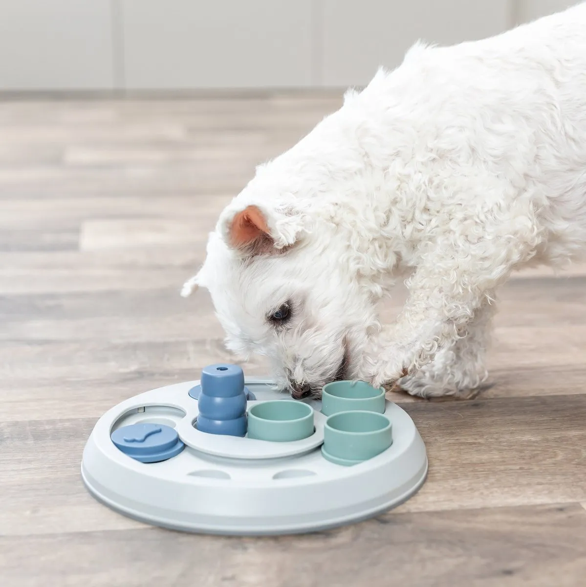 Trixie Dog Activity Intelligentiespel Flip & Fun - Blauw - afbeelding 4 van 6