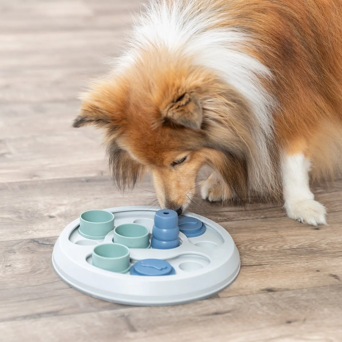 Trixie Dog Activity Intelligentiespel Flip & Fun - Blauw - afbeelding 5 van 6
