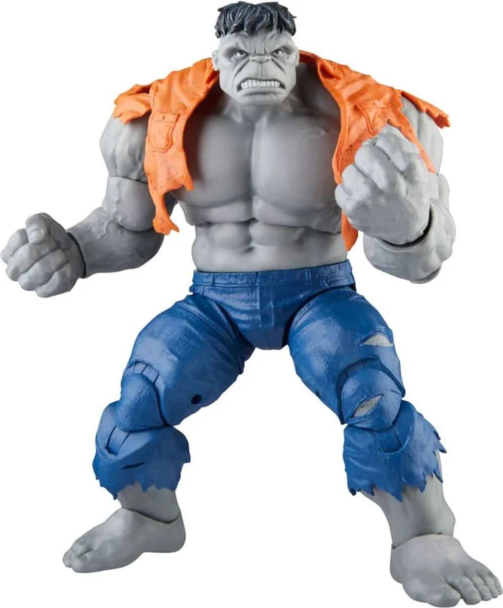 Marvel Legends Gray Hulk & Dr. Bruce Banner Actiefiguur 15cm - Multicolor