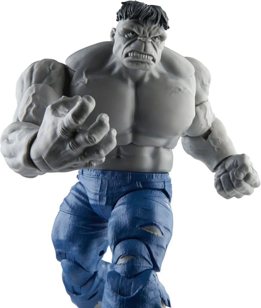 Marvel Legends Gray Hulk & Dr. Bruce Banner Actiefiguur 15cm - Multicolor