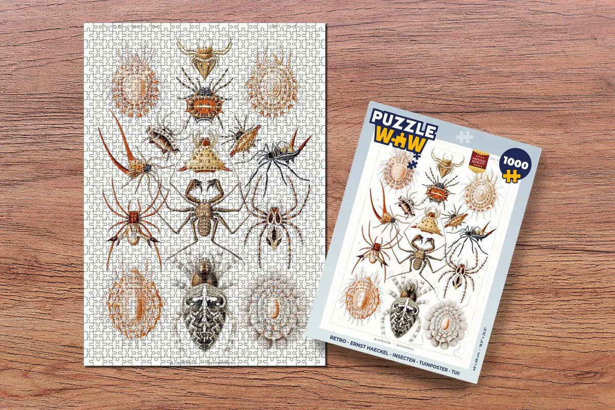 PuzzleWow Retro Spin Ernst Haeckel Legpuzzel 1000 Stuks - Multicolor
