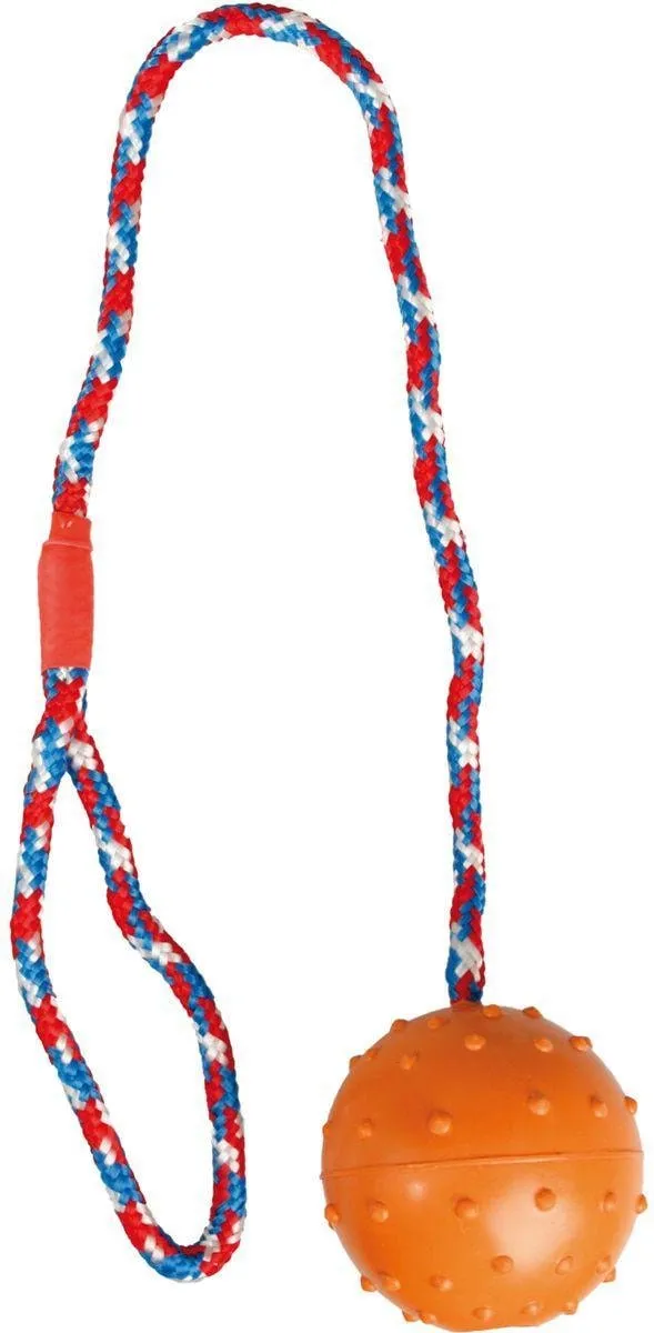 Flamingo Rubberen Hondenspeelgoed Bal - Multicolor