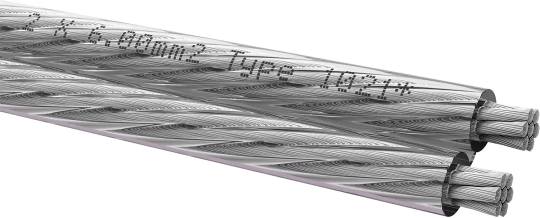 Oehlbach Silverline SP-60 Luidsprekerkabel 10m 2x6mm² Transparant