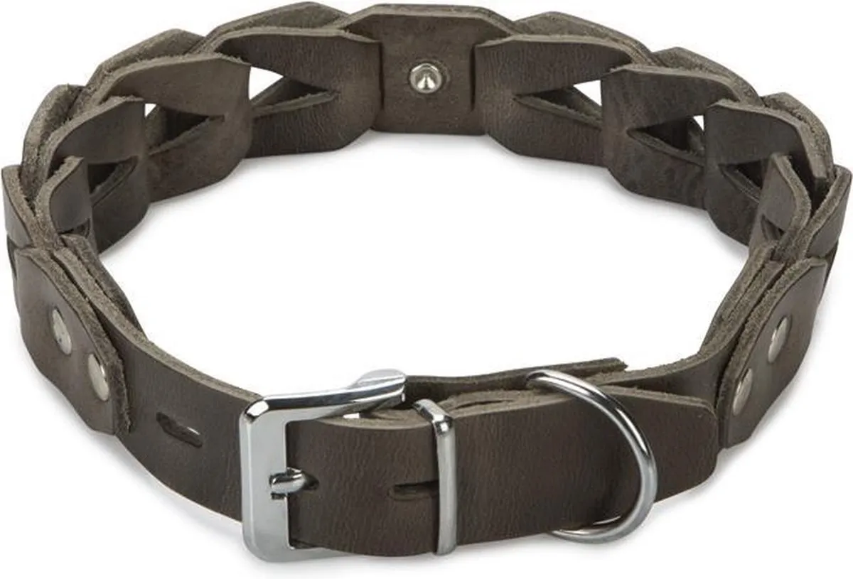 Beeztees Connex Halsband Hond