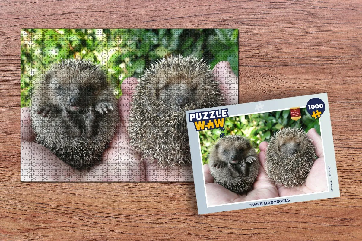 PuzzleWow Legpuzzel Twee Babyegels 1000 Stuks - Multicolor