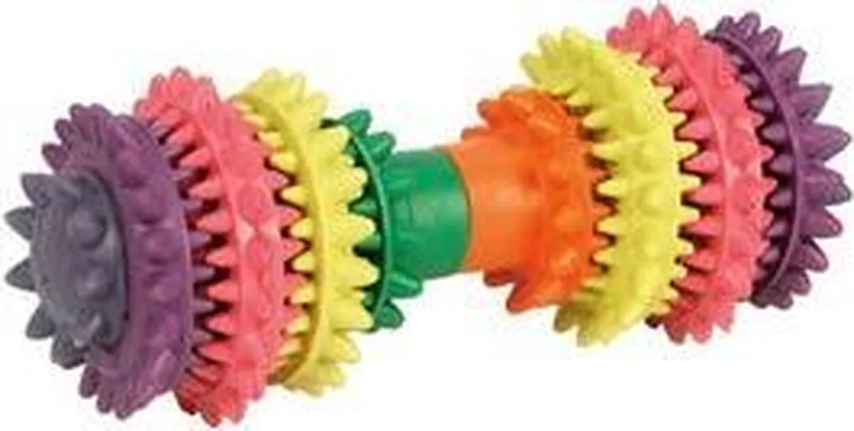Beeztees Halter Dental Care Hondenspeelgoed - Regenboog