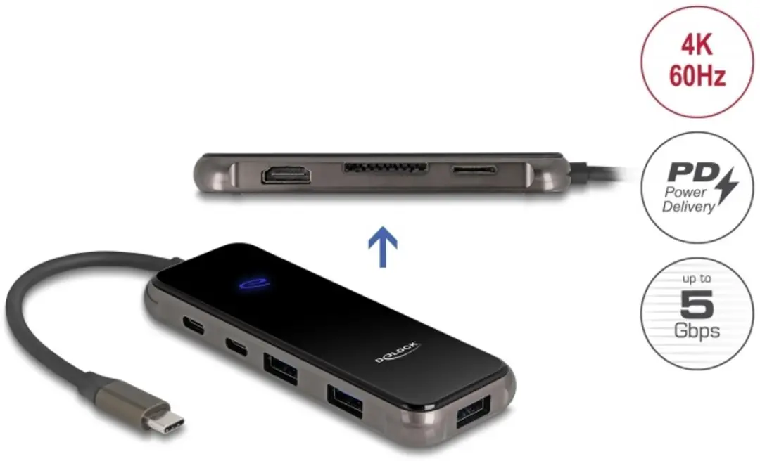 Delock 92001 USB-C Docking Station 4K