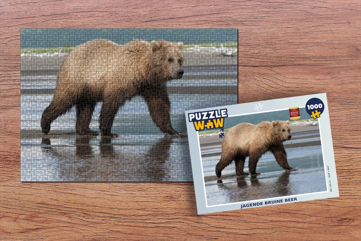 PuzzleWow Strand Water Legpuzzel 1000 Stuks - Multicolor