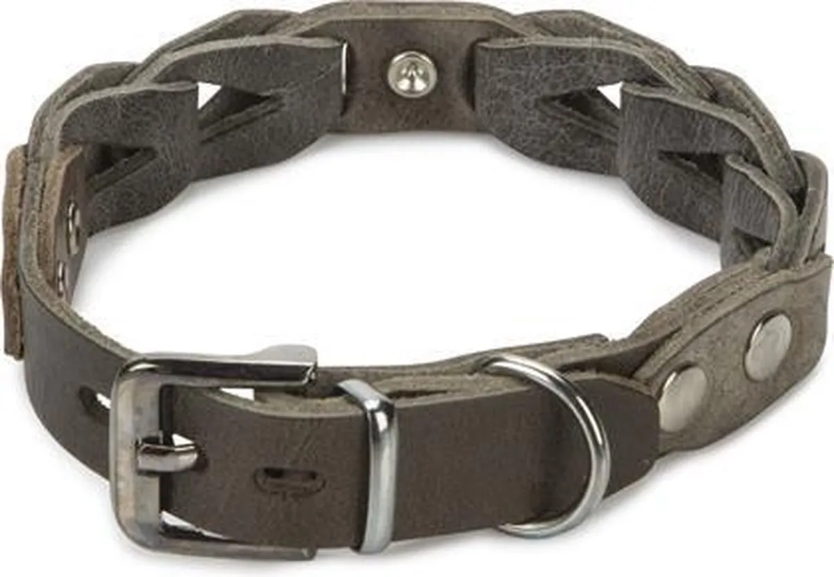 Beeztees Leren Halsband Connex