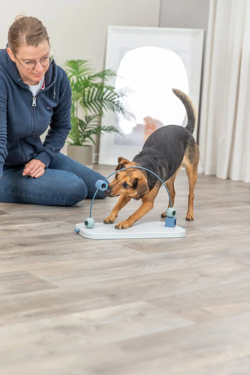 Trixie Dog Activity Skills Loop - 43cm - Grijs/Blauw - afbeelding 6 van 6