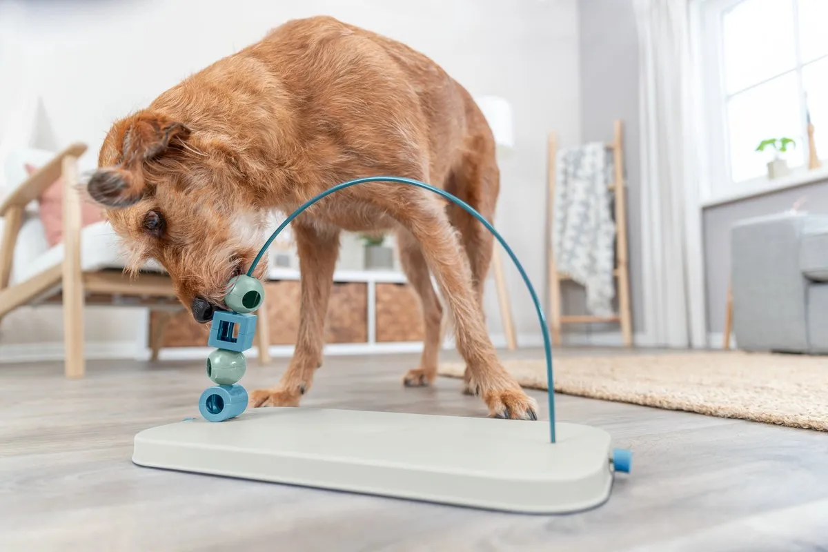 Trixie Dog Activity Skills Loop - 43cm - Grijs/Blauw