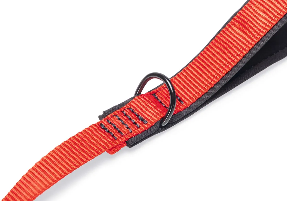 Beeztees Parinca Premium Hondenriem - Elastisch - Rood 120cm x 20mm