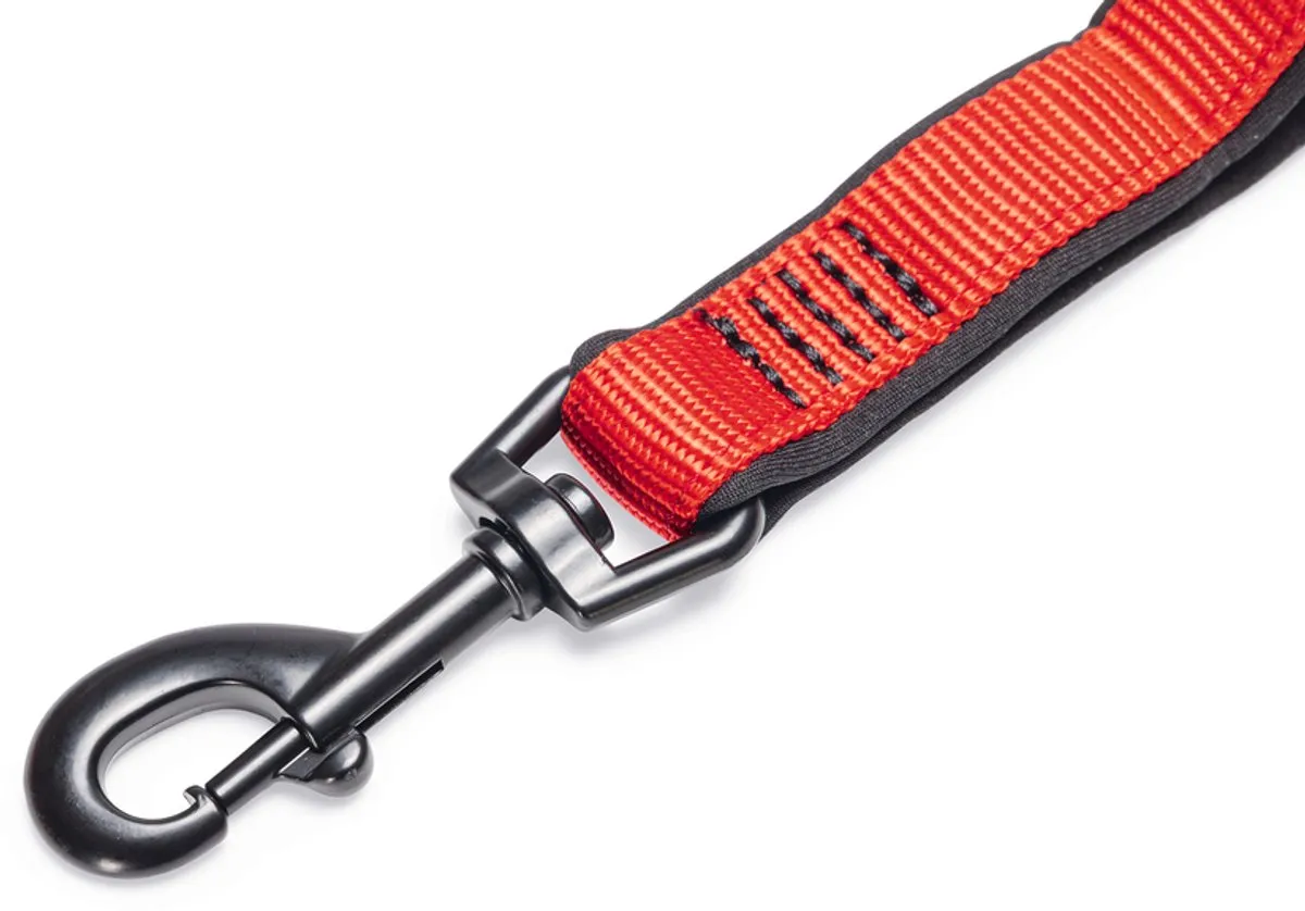 Beeztees Parinca Premium Hondenriem - Elastisch - Rood 120cm x 20mm