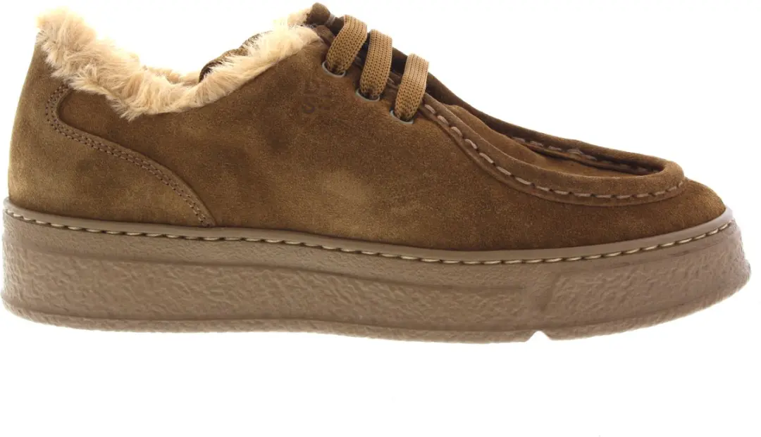 Dames Veterschoenen Dl Sport 7110 Versione 01 Bruin