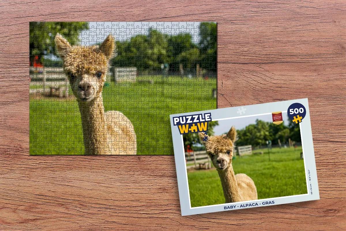 PuzzleWow Legpuzzel 500 Stuks - Multicolor