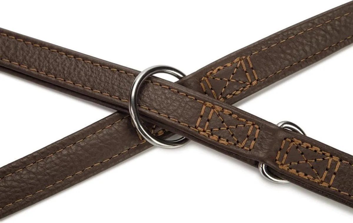Beeztees Vintage Hondenriem - Bruin Leder - 200cm x 22mm - afbeelding 2 van 3