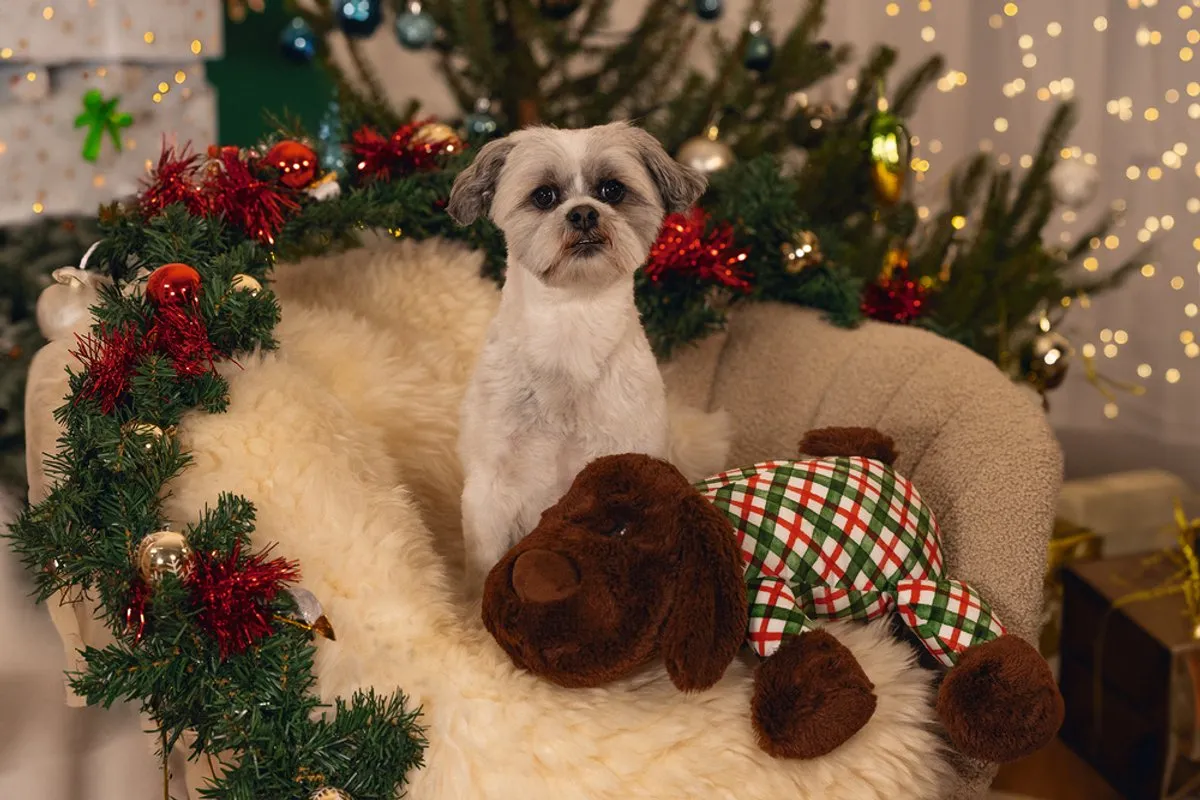 Beeztees Kerst Arrow Knuffel Hondenspeelgoed XL - Bruin
