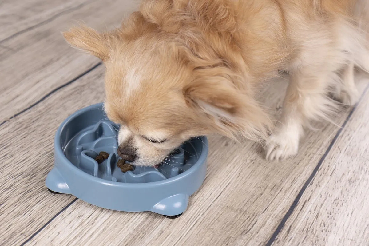 Flamingo Anti Schrokbak Hond Slow Feeder Ø21,5cm 800ml - Petrol