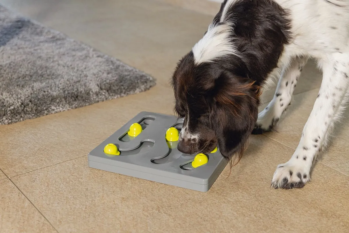 Beeztees Brain Game Looki Hondenspeelgoed - Multi