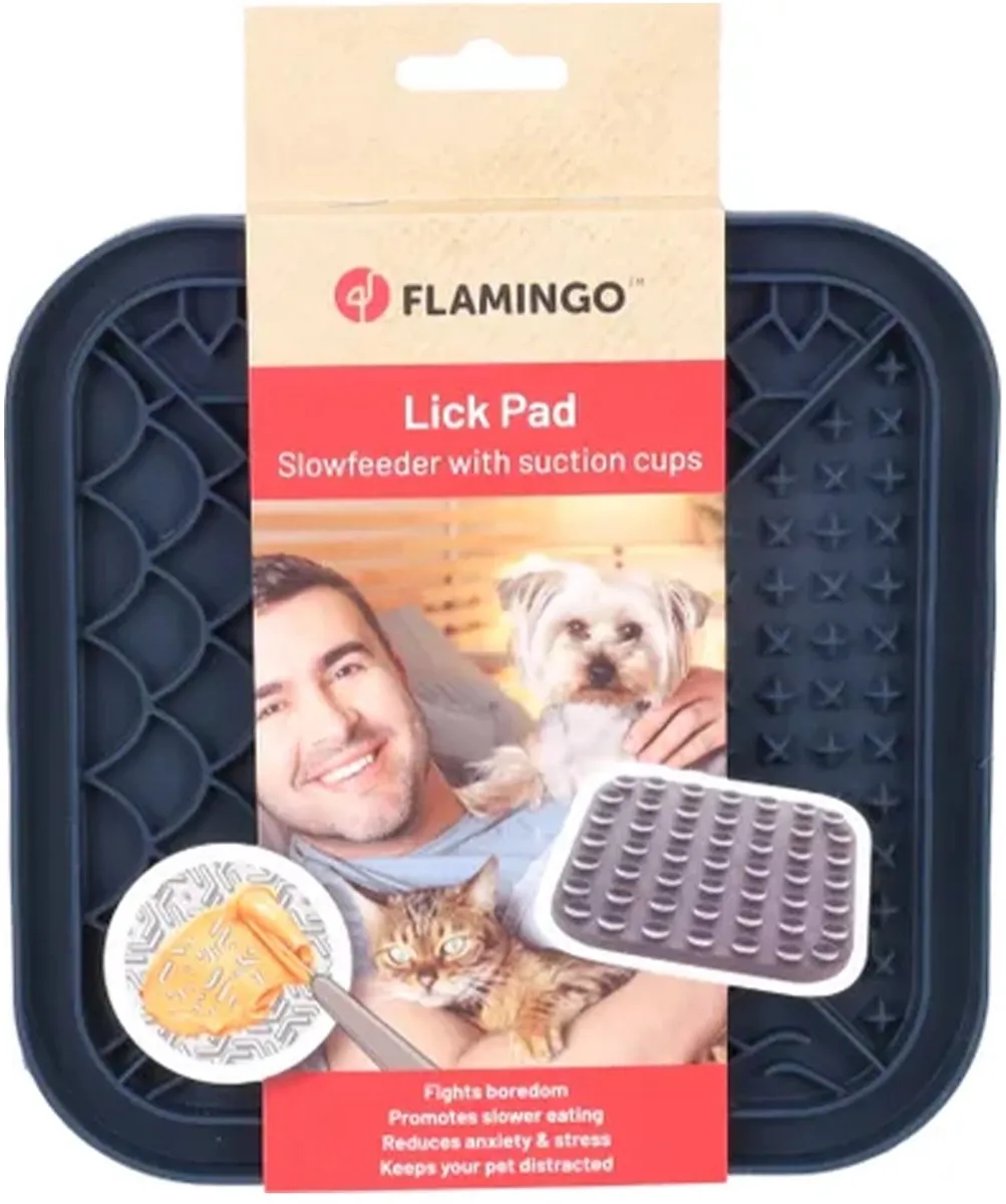 Flamingo Likmat Tolo