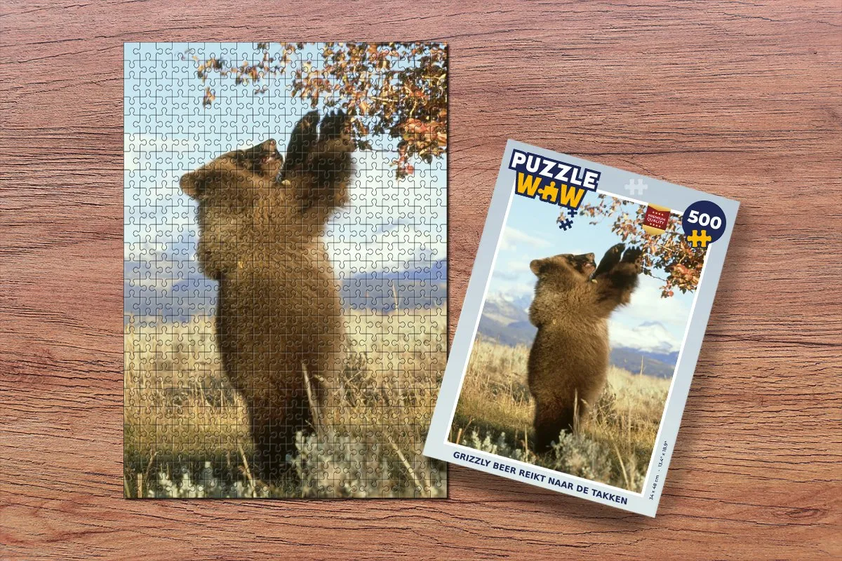 PuzzleWow Legpuzzel 500 Stuks - Multicolor