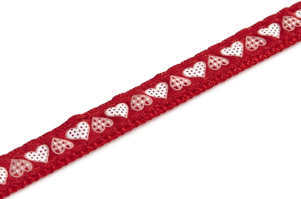 Beeztees Hearts Kittentuigje - Rood - 120cm x 10mm