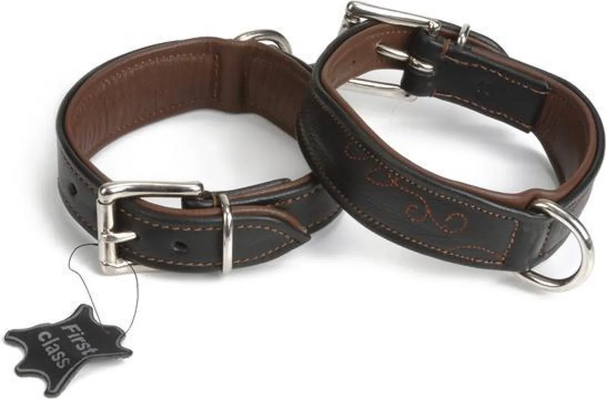 Beeztees Swirl Hondenhalsband