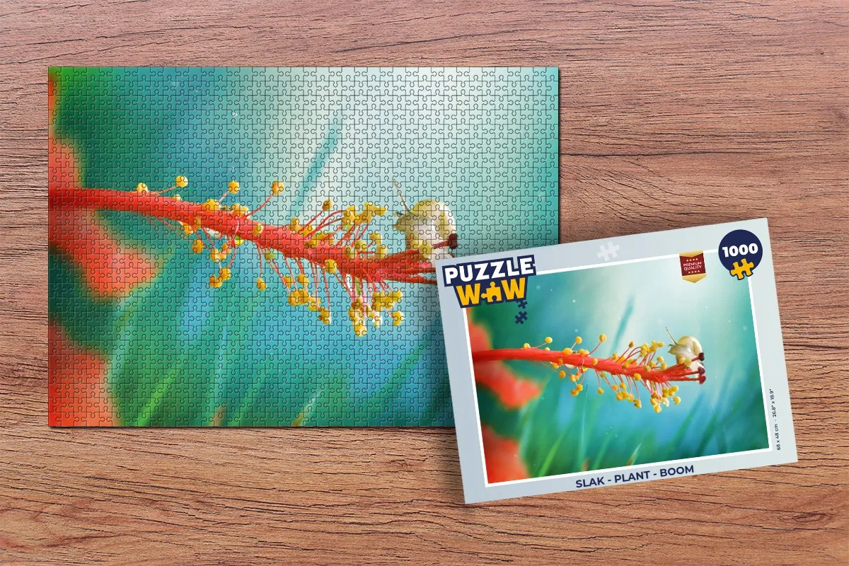 PuzzleWow Legpuzzel 1000 Stuks - Multicolor