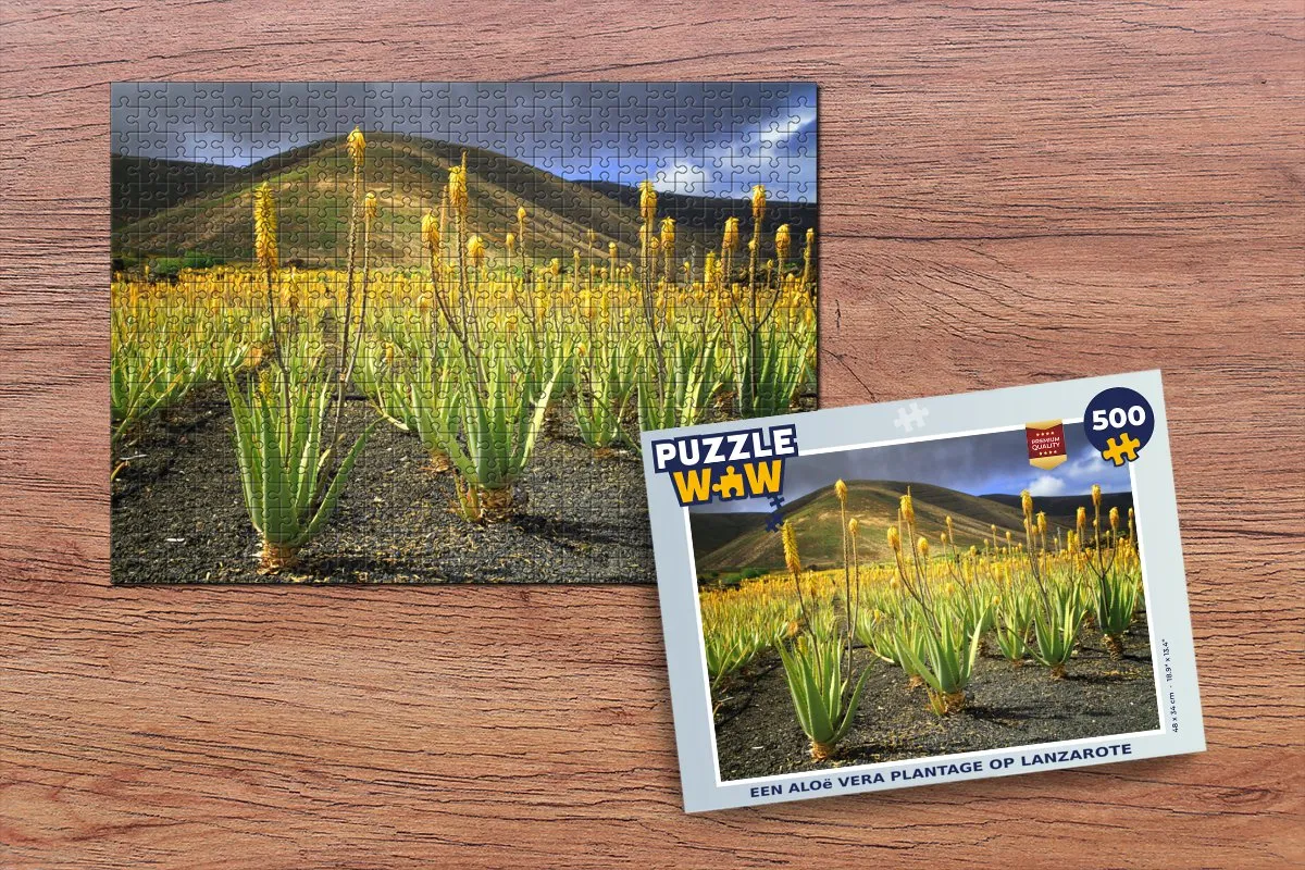 PuzzleWow Aloë Vera Plantage Lanzarote Legpuzzel 500 Stuks - Multicolor
