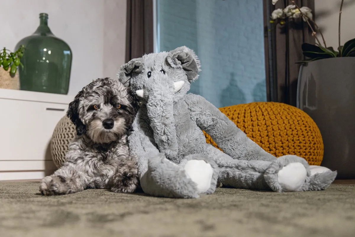 Beeztees Olifant James Hondenknuffel 80cm - Grijs