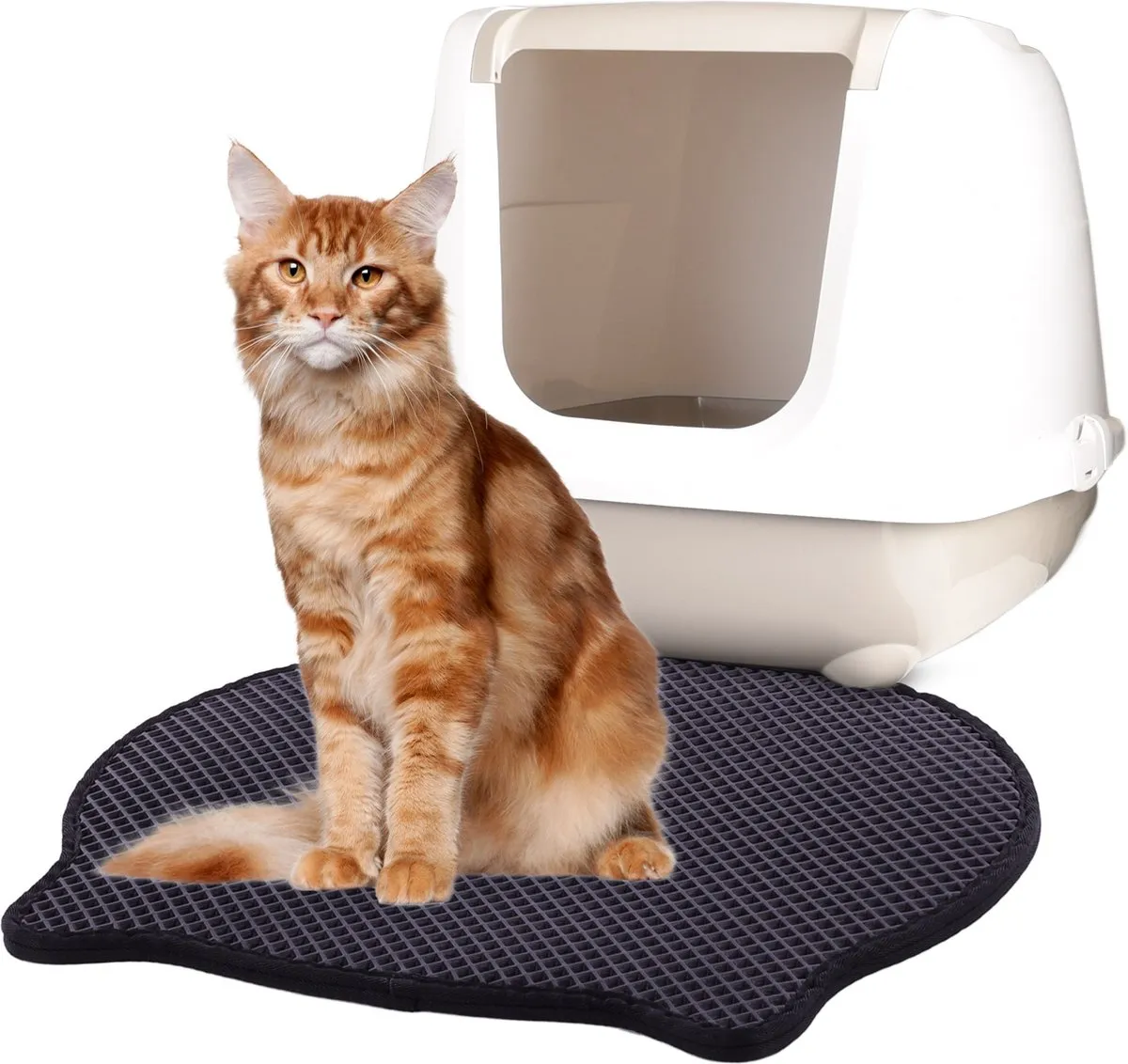 Flamingo Matz Kattenbakmat - 50x40cm - Zwart