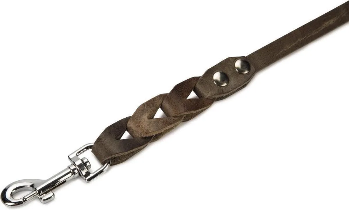 Beeztees Leren Looplijn Connex - 110cm x 12mm - Grijs - afbeelding 2 van 4