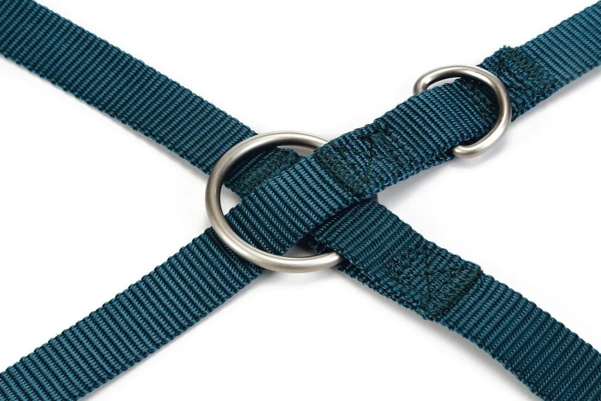 Beeztees Uni Hondenriem - Donkergroen 200cm x 20mm